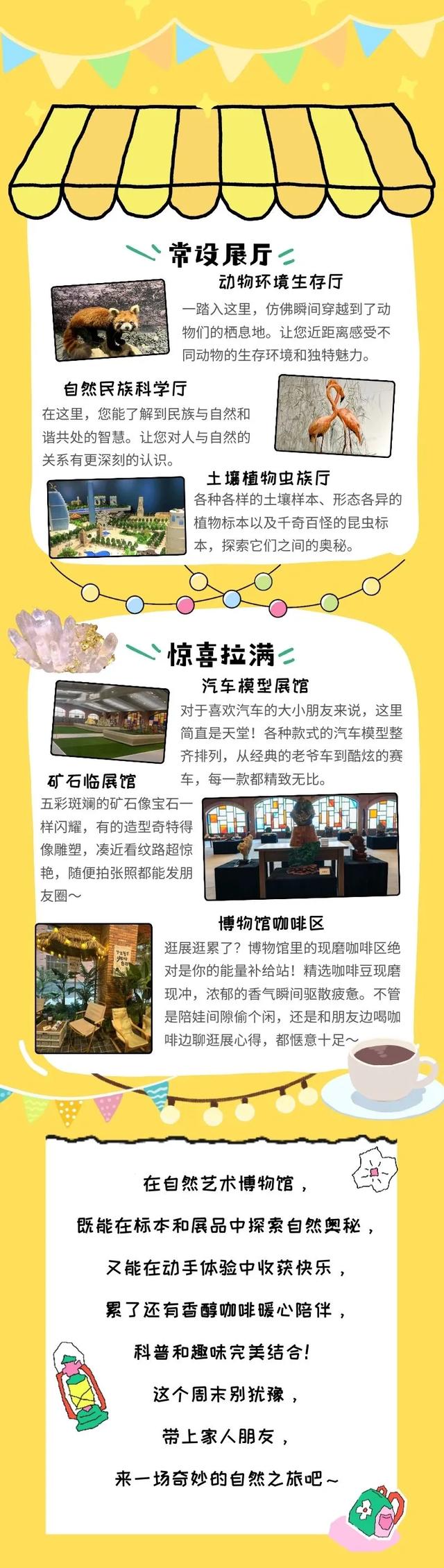 南宫自然艺术博物馆太会了！看展、手作、喝现磨咖啡，遛娃约会一站封神~