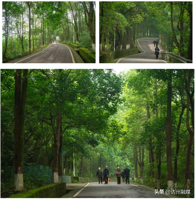 Run渠县，每一步都“热辣滚烫”