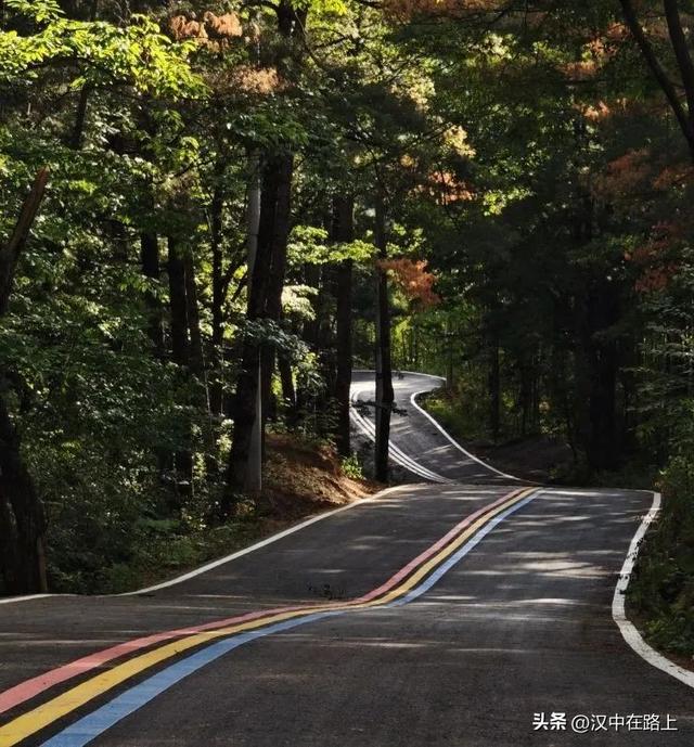 酷暑难耐？躲进宁强「山水秘境」，解锁23℃的清凉夏天~