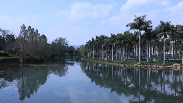 云南有大海的沙滩的城市，昆明动车1小时直达，四季如春度假小城