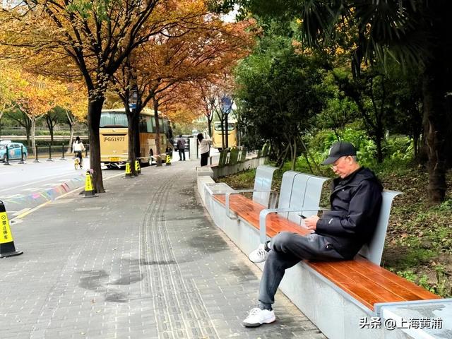 紧临外滩、豫园！居民游客都来打卡这片24小时不打烊的“森空间”：实在太美了！