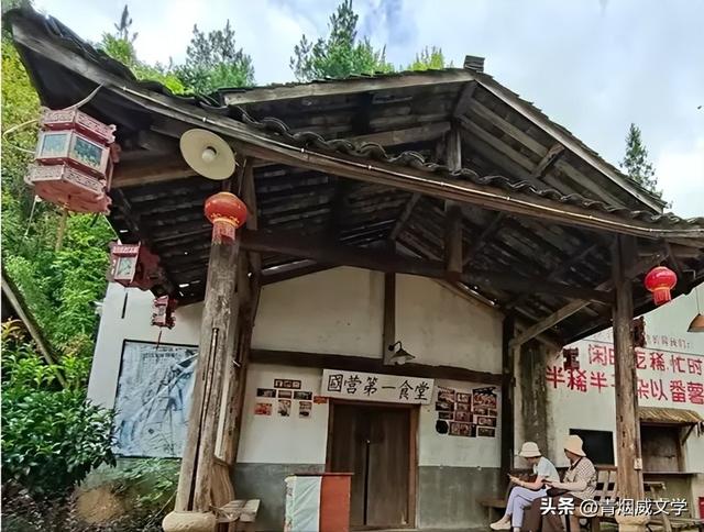 2025 凉雾之夏