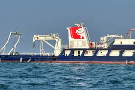 网曝京东将包船前往南海直播海钓 网友：钓上来的鱼可以直接送吗图片