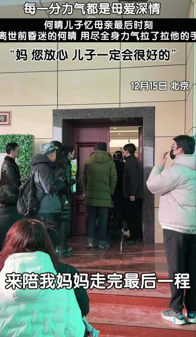 何晴儿子追掉会上哽咽怀念母亲