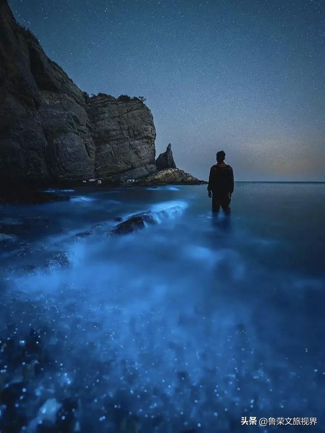 大连秋日鎏金时：荧光海低语，老电车叮咚，海鲜盆里盛着山海情