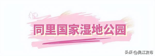 周末去打卡丨在吴江，赴一场粉色之约！