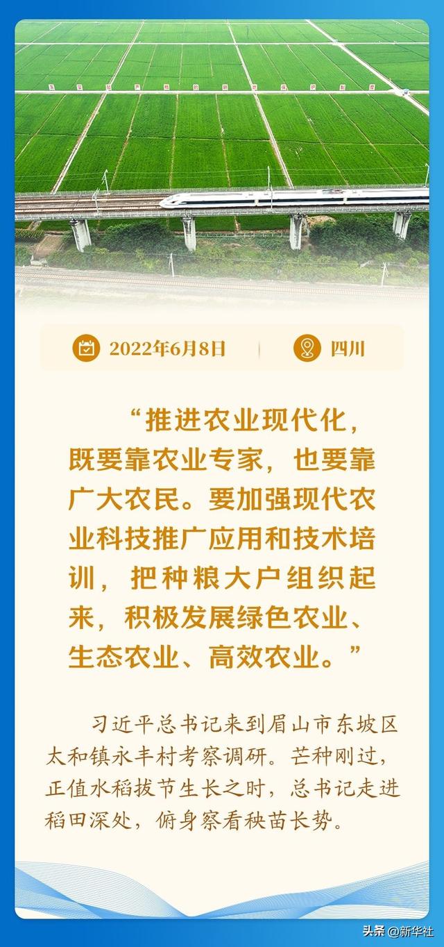 学习新语｜经济高质量发展，总书记定向领航