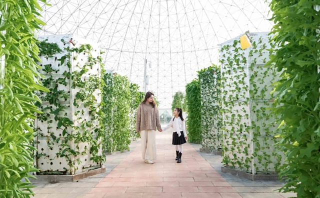 绿水青山绽新颜：长泰唐宋花仙谷打造农文旅康养融合新样本