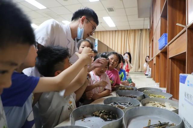 托管班、研学游！中医药文化活动开启暑假岐黄热～