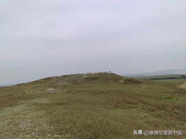 寻找谷力脑包