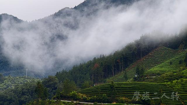 皖浙摩旅二人转——松阳杨家堂篇（下）