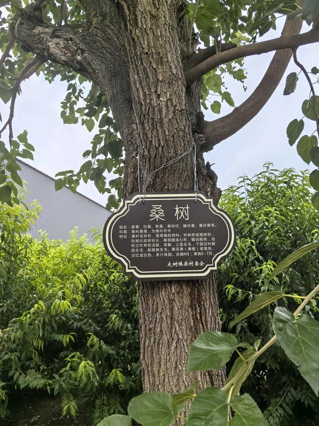 刘备好可怜 老家竟然变成这个样子了