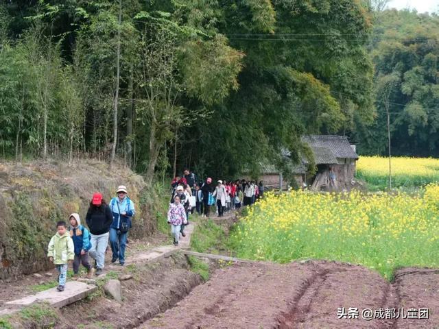 春天去哪徒步?成都周边8条路线:摘野菜、赏野花、捡野果