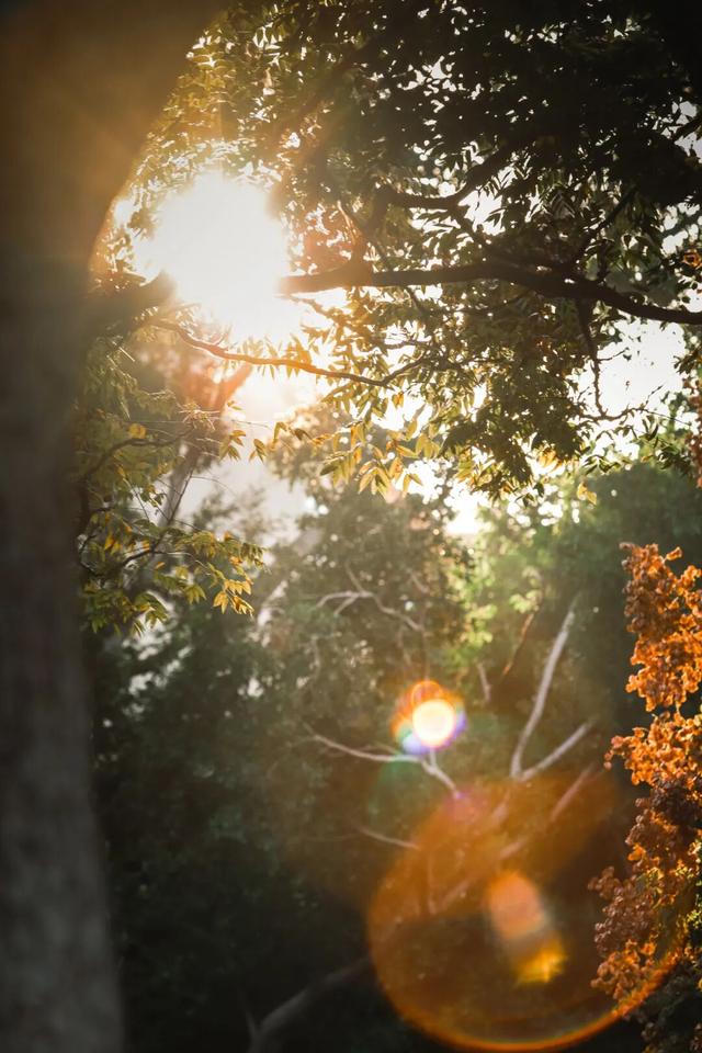 冬日暖阳里，来丰泽这儿享受惬意时光……