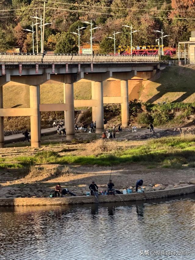 公交直达冬日限定“小东非”，带娃解锁长沙safari隐藏玩法！