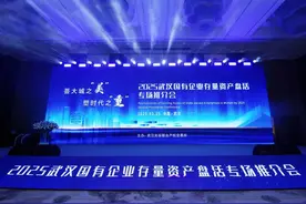 百家机构相聚江城 共商存量资产盘活——2025武汉国有企业存量资产盘活专场推介会圆满举行图片