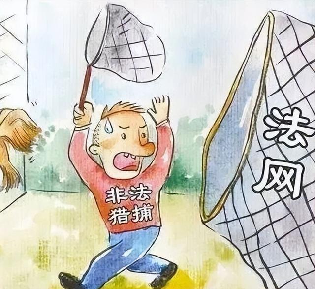 8只以上判10年！2025新疆男子架“电猫”杀10只，剥皮割头放冰箱