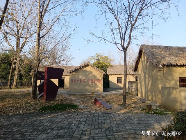 邓州韩营千年古柏，守望着禹庙和数万乡亲奋战过的引丹会战旧址