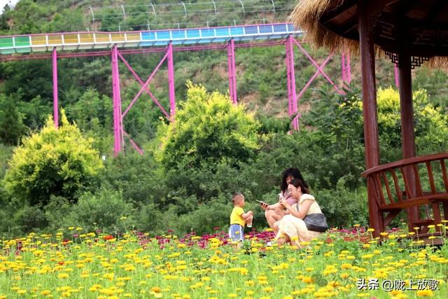 【青山绿水 只此清水】清水：盛夏清水好风光 特色景点吸引八方游客