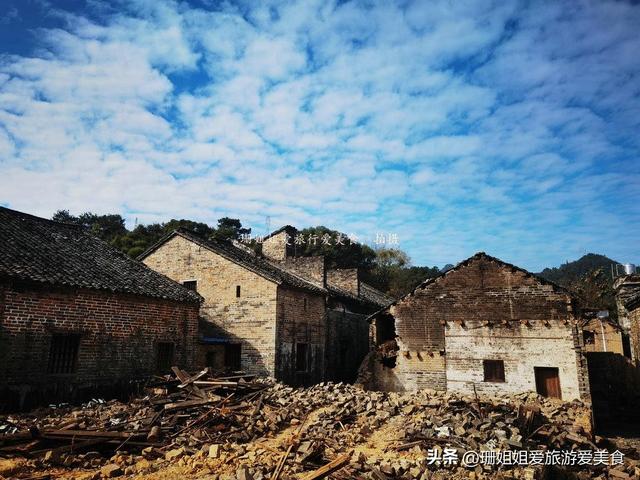 清远连州“石”姓聚居的千年古村，乡村路种满银杏树，秋韵感觉浓