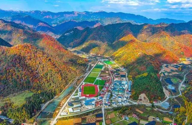 全省推介！杨凌金秋采摘休闲游入选
