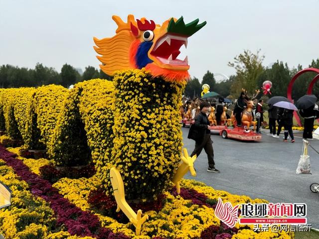 临沂秋日太“卷”了！承包你的秋日浪漫