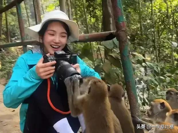 卢昱晓穿冲锋衣在雨林徒步 躺在树枝上睡觉松弛鲜活