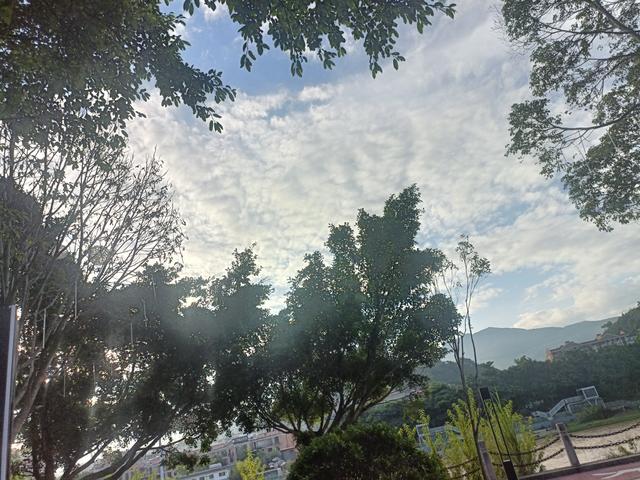 抬头瞬间，我撞见了生活藏的糖。
