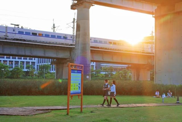 三条高铁并行！桥下还有“宝藏”，等你发现！