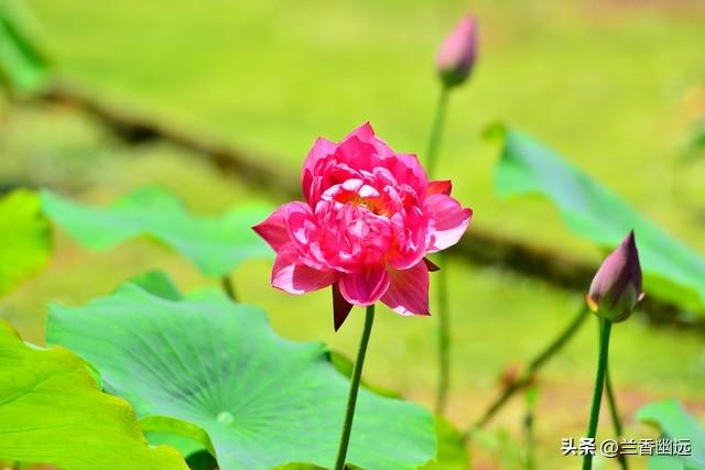 两性关系：为什么65岁后，女人比男人更希望这些，你真的懂吗