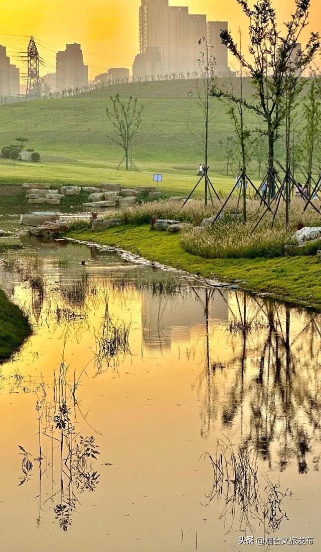 【乐游烟台】深秋倒计时！烟台莱山已进入最佳观赏期~