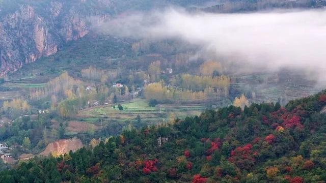 不到西坡，怎知秋色如许？