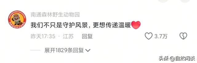 南通一动物园将许愿池里的硬币全部捞空,知道真相后网友们哭了