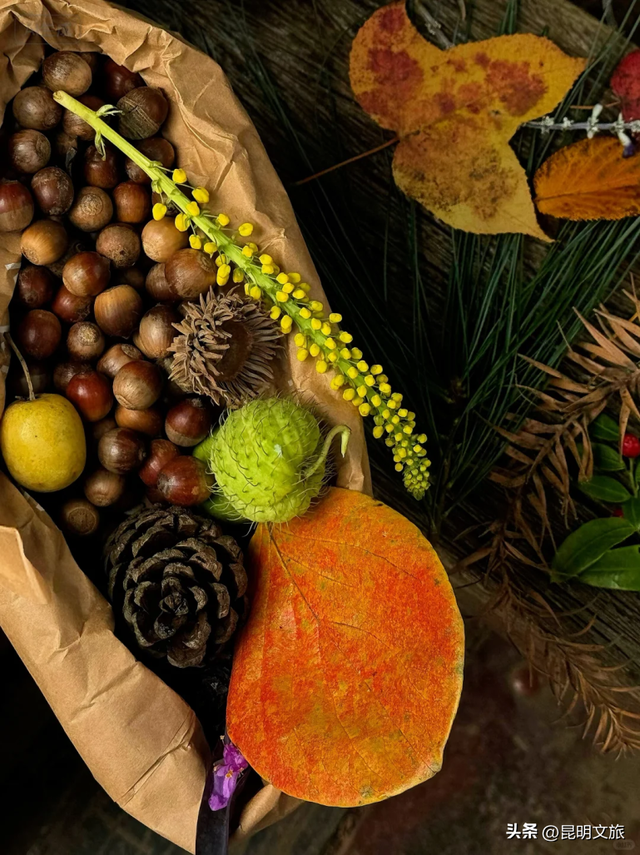 初冬出片C位！昆明这个地方必须榜上有名，周末抓紧冲~