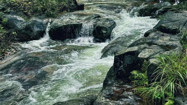 乡游黔中 · 都匀市 奉合村丨水书秘卷映端节,拦门酒香醉古寨