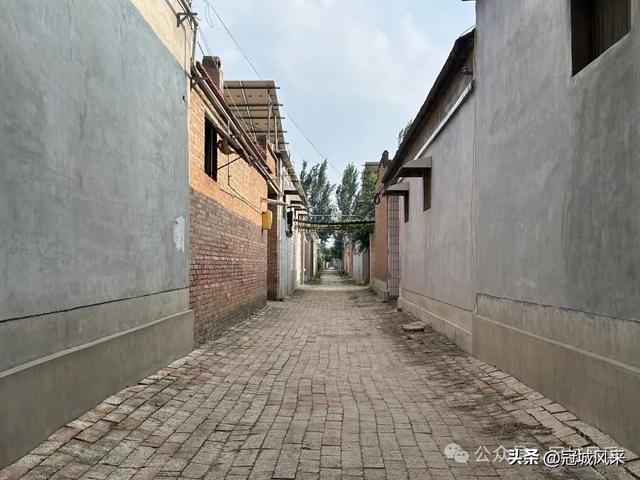 冠县乡韵·辛集镇丁刘八寨