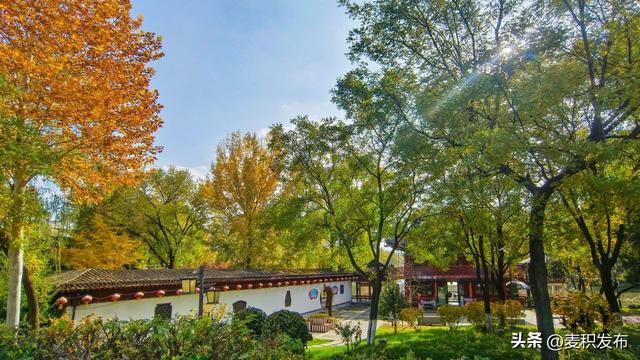 【东方微笑 多彩麦积】摄影师看麦积 | 马跑泉公园冬日风光美