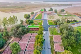 提前收藏！郑州赏春好去处→图片