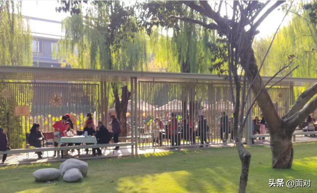 🌞广汉金雁湖公园：冬日里的“阳光能量站”