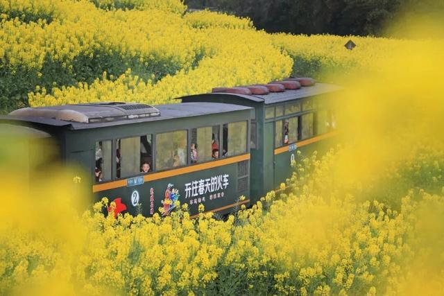 春到乐山，“香”约起来