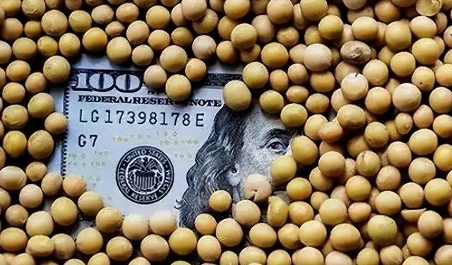 巴西大豆“坐地起价”，中国不惯着，130万吨大豆订单流向阿根廷