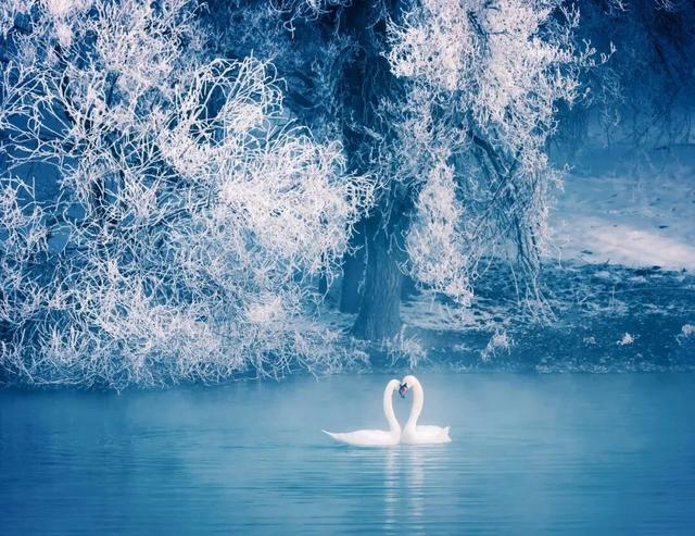 新疆的冬天更浪漫