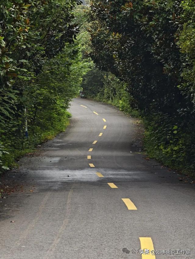 「转载」隐匿在南京老山的生化残城