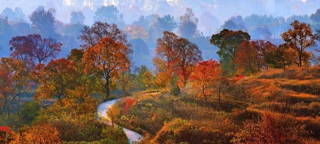 烟台人，去了孝昌跟大悟两县，直言不讳：孝昌跟大悟天差地别