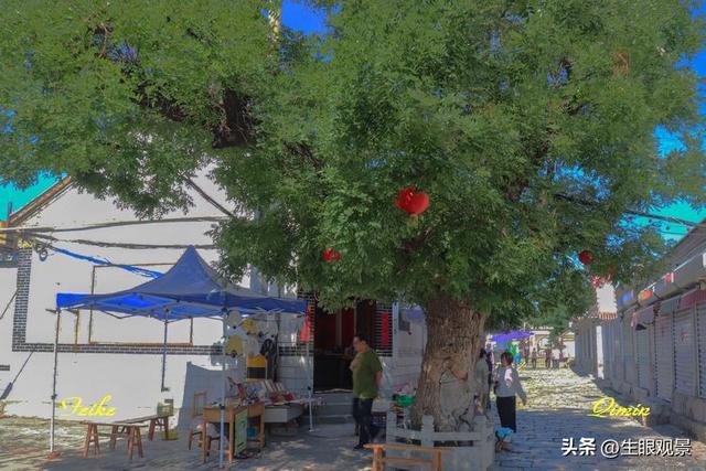 影记 | 鲁中名村淄川蒲家庄