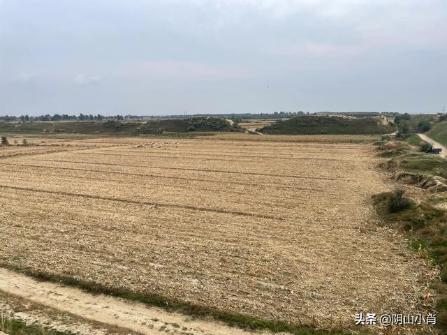 呼和浩特市托克托县田野考察笔记