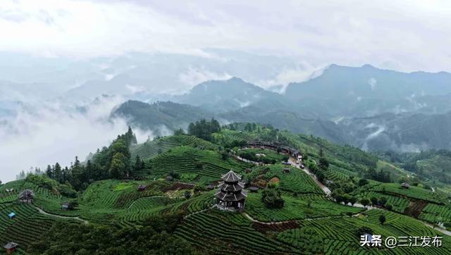 为什么可以反复爱上三江