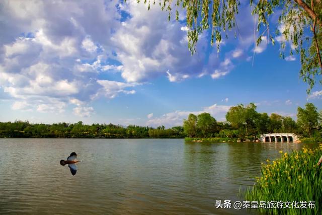 今年暑期，秦皇岛文旅热度攀升，持续“霸榜”！一起回顾秦皇岛夏日记忆~