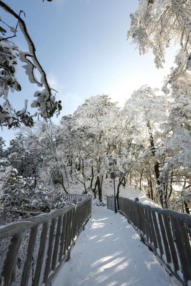 光雾山什么时候下雪⁉️「官方预测攻略」来咯~
