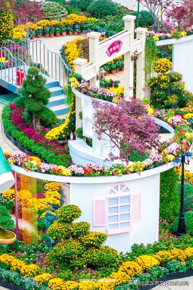 武汉今秋最大花展，限时一个月，免费！